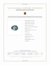 1.19 Ct. Greenish Blue Cabochon Sapphire from Montana Scan Report