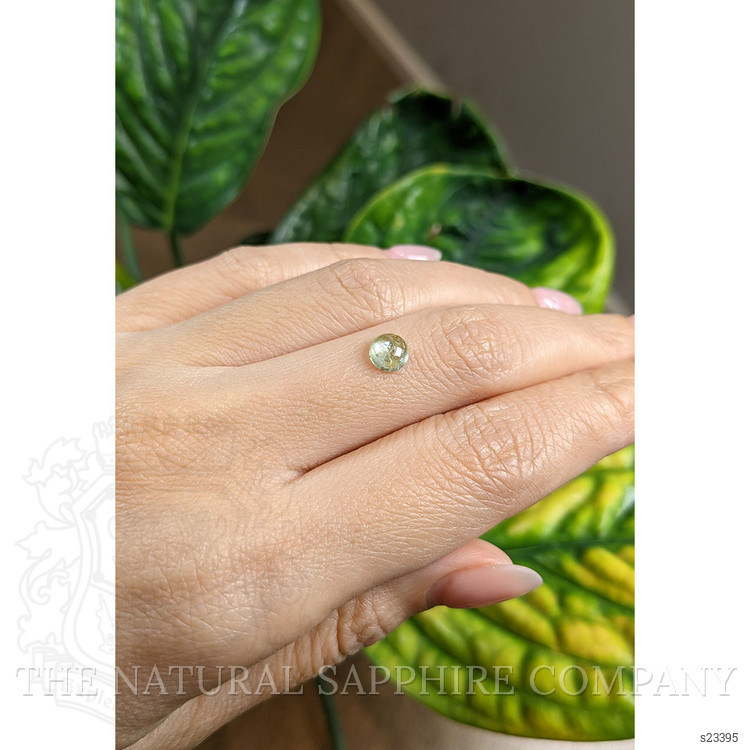 1.22 Ct. Bi Color Cabochon Sapphire from Montana