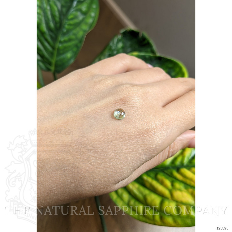 1.22 Ct. Bi Color Cabochon Sapphire from Montana