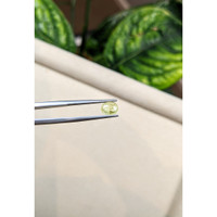 1.23 Ct. Yellow Cabochon Sapphire from Montana Life Style