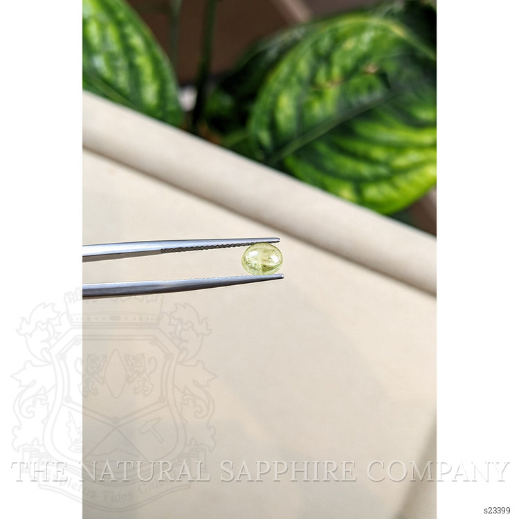 1.23 Ct. Yellow Cabochon Sapphire from Montana