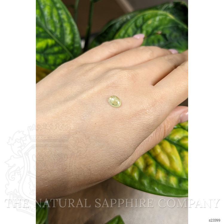 1.23 Ct. Yellow Cabochon Sapphire from Montana