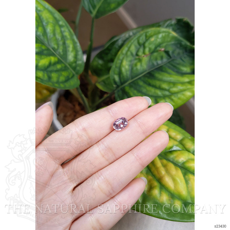 3.10 Ct. Pink Sapphire from Ceylon (Sri Lanka)