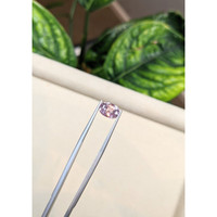 3.10 Ct. Pink Sapphire from Ceylon (Sri Lanka) Life Style