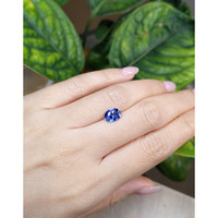 1.54 Ct. Blue Sapphire from Ceylon (Sri Lanka) Life Style