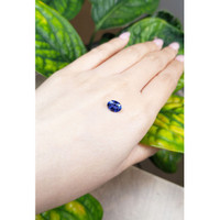 1.81 Ct. Blue Sapphire from Ceylon (Sri Lanka) Life Style
