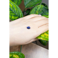 1.85 Ct. Blue Sapphire from Ceylon (Sri Lanka) Life Style
