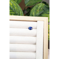 1.85 Ct. Blue Sapphire from Ceylon (Sri Lanka) Life Style