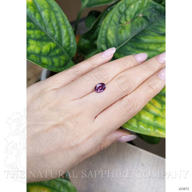 1.84 Ct. Purple Sapphire from Ceylon (Sri Lanka)