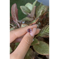 2.15 Ct. Pinkish Brown Sapphire from Ceylon (Sri Lanka) Life Style