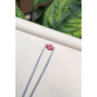 1.85 Ct. Pink Sapphire from Ceylon (Sri Lanka) Life Style