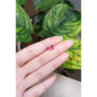 1.85 Ct. Pink Sapphire from Ceylon (Sri Lanka) Life Style