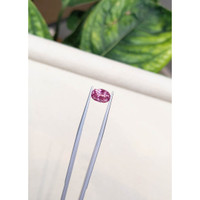 2.36 Ct. Pink Sapphire from Ceylon (Sri Lanka) Life Style