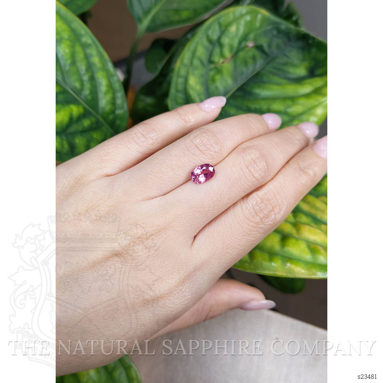 2.36 Ct. Pink Sapphire from Ceylon (Sri Lanka)