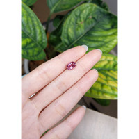 2.36 Ct. Pink Sapphire from Ceylon (Sri Lanka) Life Style