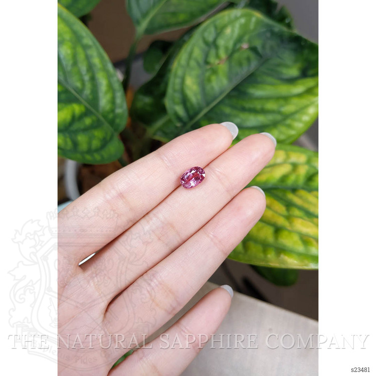 2.36 Ct. Pink Sapphire from Ceylon (Sri Lanka)