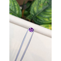 1.23 Ct. Purple Sapphire from Ceylon (Sri Lanka) Life Style