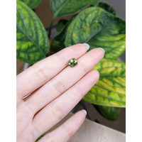 2.17 Ct. Green Sapphire from Madagascar Life Style