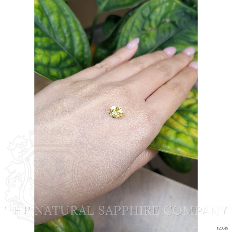 1.69 Ct. Yellow Sapphire from Ceylon (Sri Lanka)