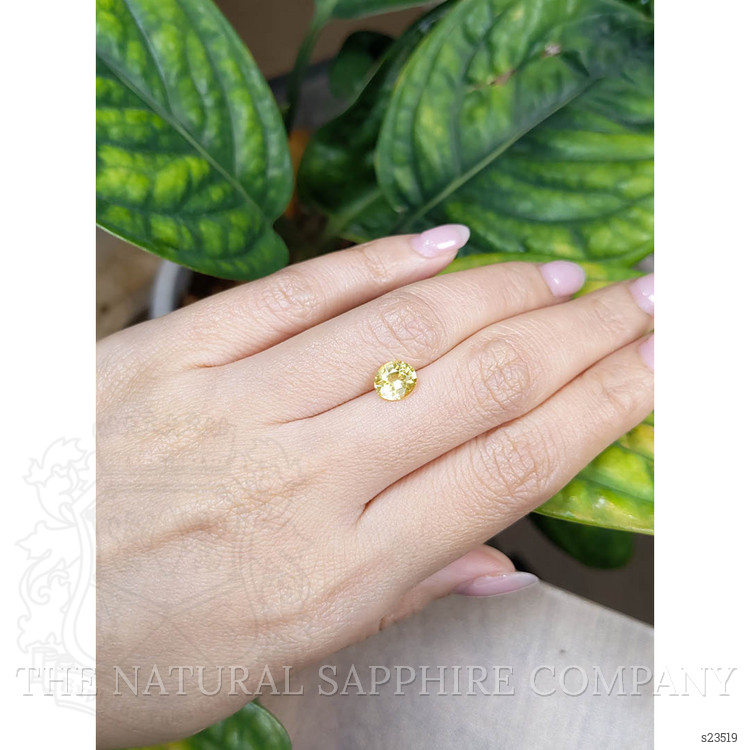 1.69 Ct. Yellow Sapphire from Ceylon (Sri Lanka)