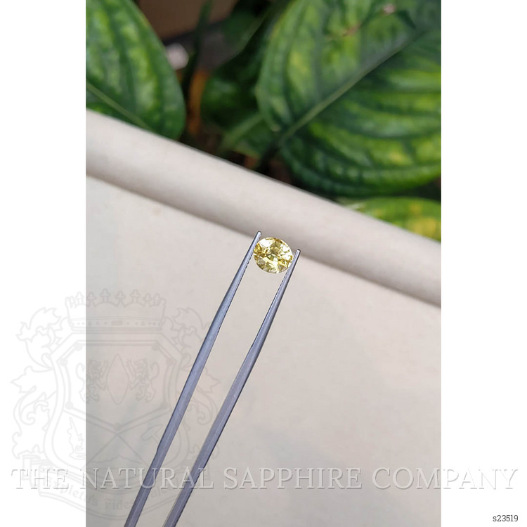 1.69 Ct. Yellow Sapphire from Ceylon (Sri Lanka)