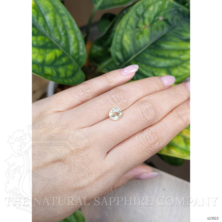 2.27 Ct. Yellow Sapphire from Ceylon (Sri Lanka)