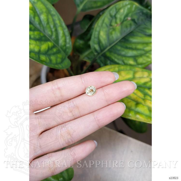 2.27 Ct. Yellow Sapphire from Ceylon (Sri Lanka)