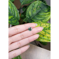1.77 Ct. Bluish Green Sapphire from Madagascar Life Style