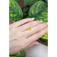 1.97 Ct. Yellow Sapphire from Ceylon (Sri Lanka) Life Style