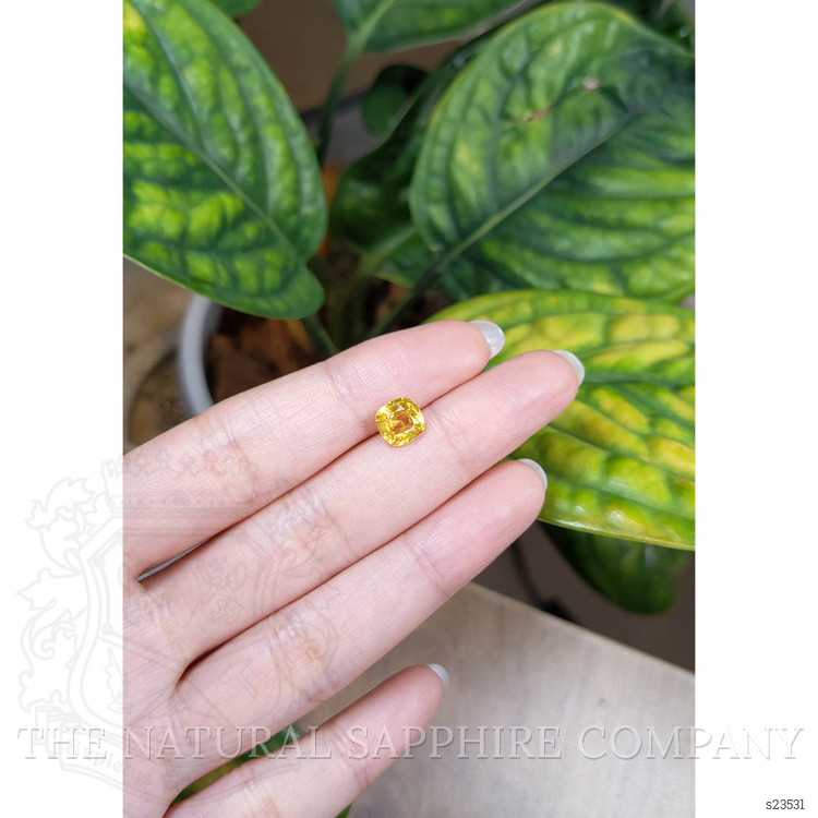 1.97 Ct. Yellow Sapphire from Ceylon (Sri Lanka)