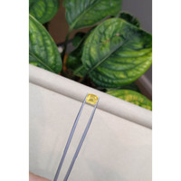 2.16 Ct. Yellow Sapphire from Ceylon (Sri Lanka) Life Style