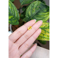 2.18 Ct. Yellow Sapphire from Ceylon (Sri Lanka) Life Style