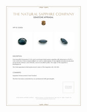 Jewelry Appraisal