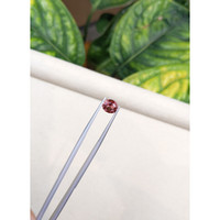 1.74 Ct. Reddish Pink Sapphire from Ceylon (Sri Lanka) Life Style