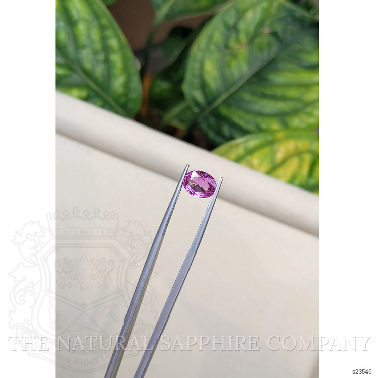 2.00 Ct. Pink Sapphire from Ceylon (Sri Lanka)