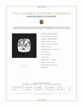 Jewelry Scan Report