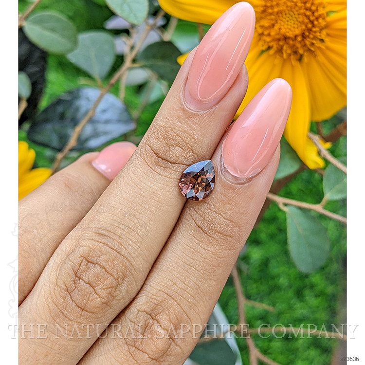 2.05 Ct. Greenish Brown Sapphire from Ceylon (Sri Lanka)