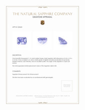 1.16 Ct. Violet Sapphire from Ceylon (Sri Lanka) Appraisal