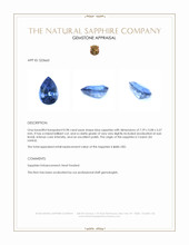 0.98 Ct. Blue Sapphire from Ceylon (Sri Lanka) Appraisal