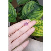 2.78 Ct. Pink Cabochon Sapphire from Madagascar Life Style