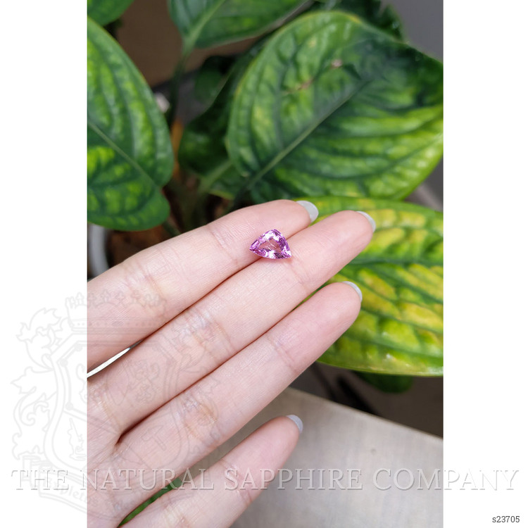 2.78 Ct. Pink Cabochon Sapphire from Madagascar