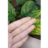 2.37 Ct. Yellow Sapphire from Madagascar Life Style