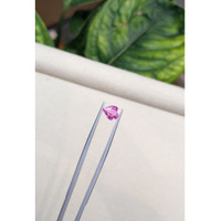1.37 Ct. Pink Sapphire from Madagascar Life Style
