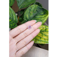 2.42 Ct. Purple Sapphire from Madagascar Life Style