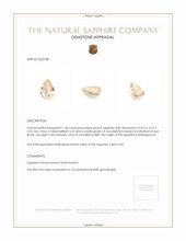 Jewelry Appraisal