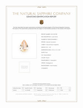 Jewelry Scan Report