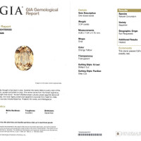 Jewelry Scan Report