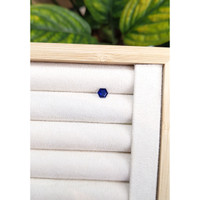 0.80 Ct. Blue Sapphire from Ceylon (Sri Lanka) Life Style