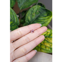 1.39 Ct. Padparadscha Sapphire from Ceylon (Sri Lanka) Life Style