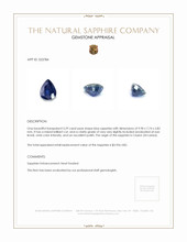 3.29 Ct. Blue Sapphire from Ceylon (Sri Lanka) Appraisal